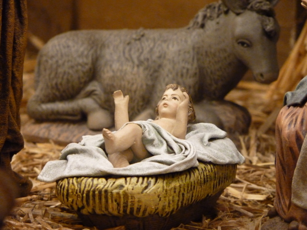 No s'ha trobat l'arxiu